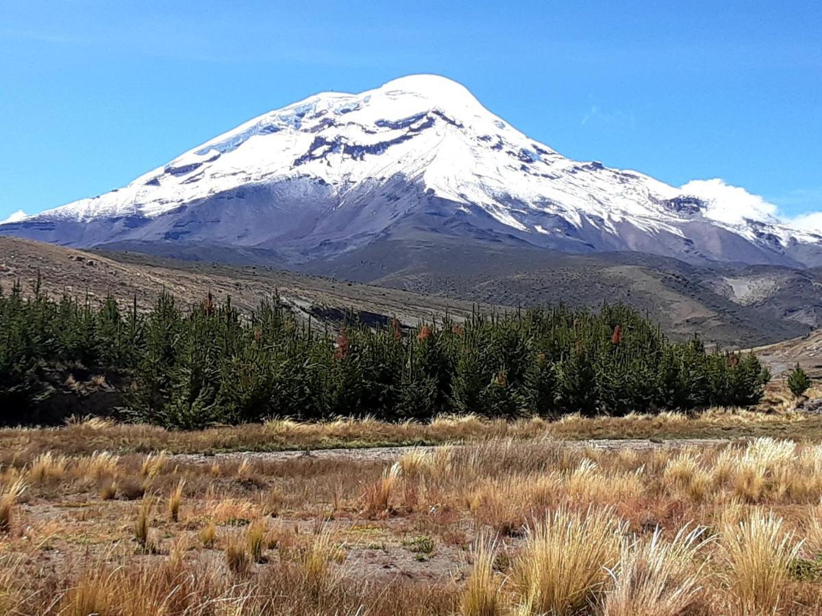 Hospedaje Chimborazo 외부 사진
