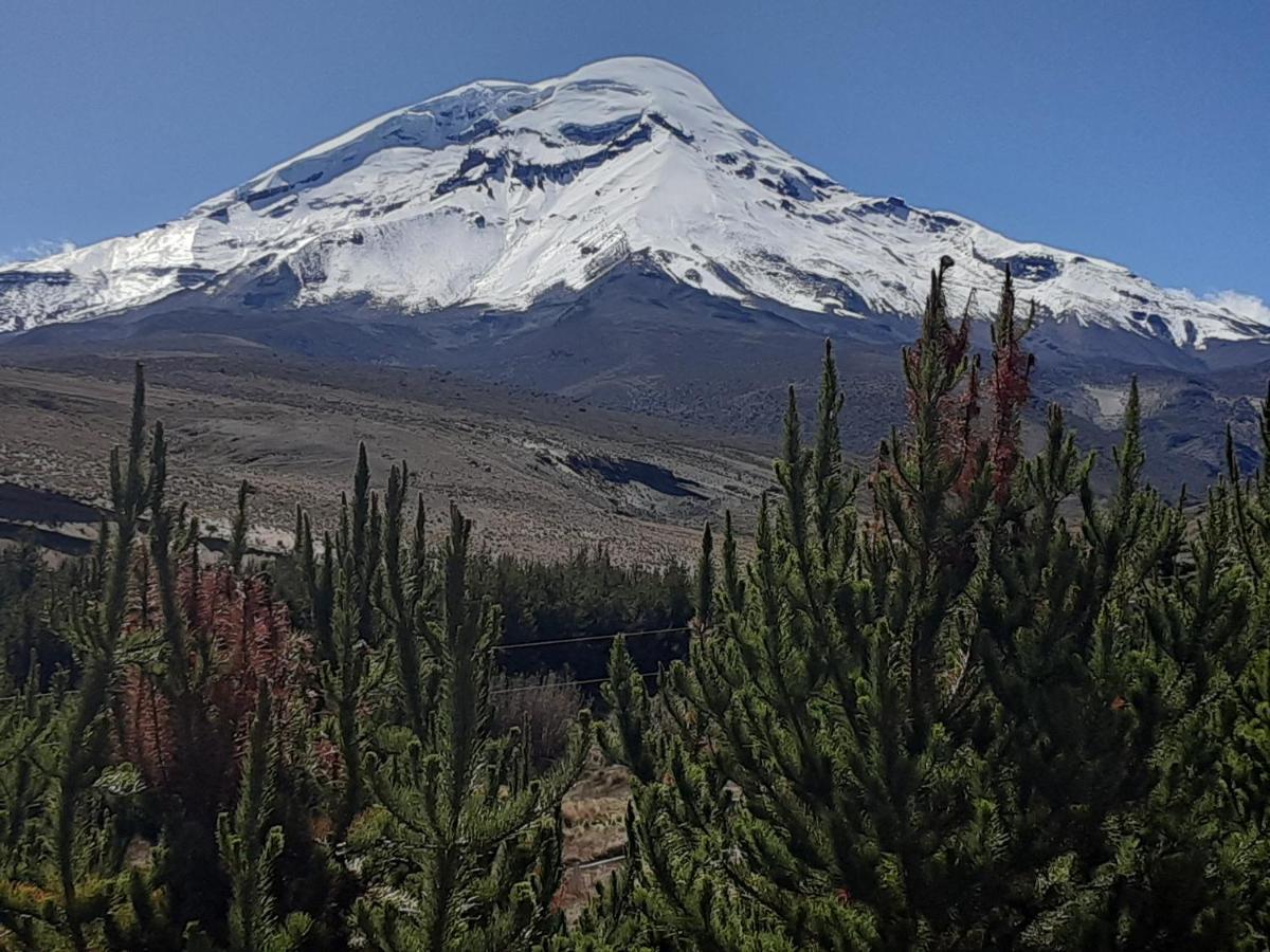 Hospedaje Chimborazo 외부 사진